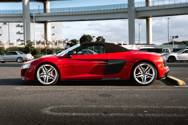 Casino Wizard Slots Android/iOS Forrit